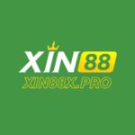 Profile picture of xin88xpro