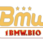 Profile picture of 1bmwbio